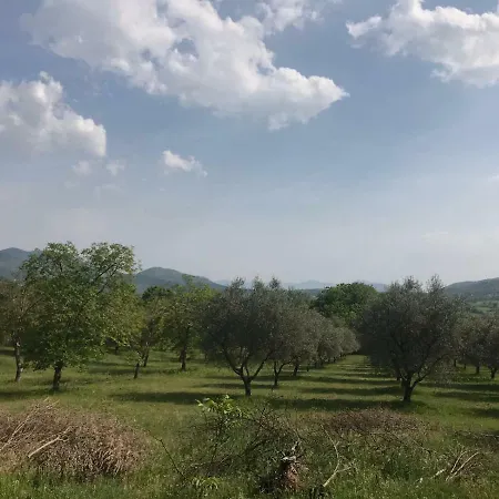 Casa Vacanza Serendipity *